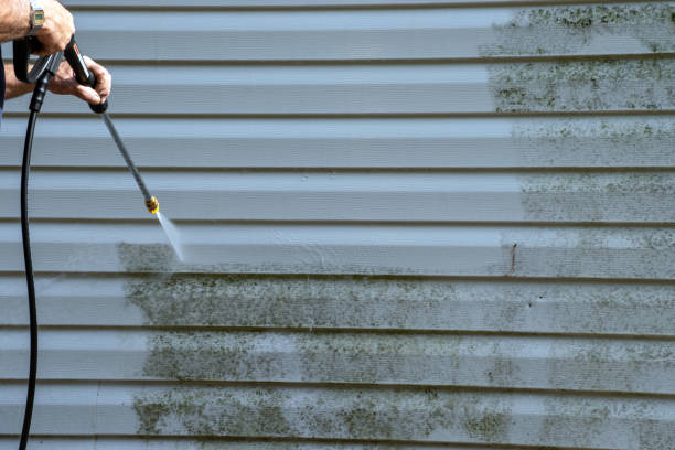 Best Shed Removal  in Anza, CA